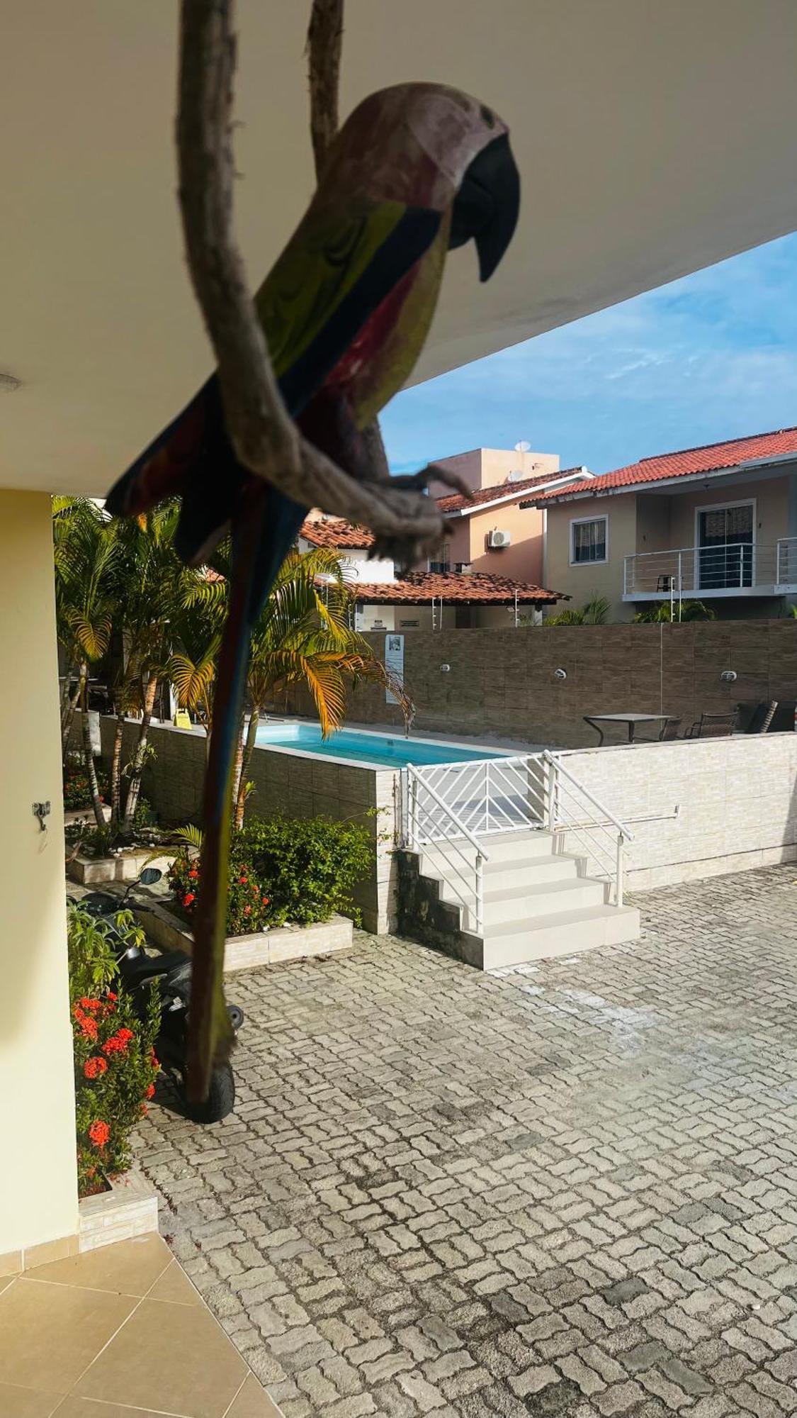 Bahia Bonita Flats Apartamento *